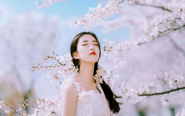 双生玫瑰：白月光与朱砂痣最新更新 周淼顾玉修免费读