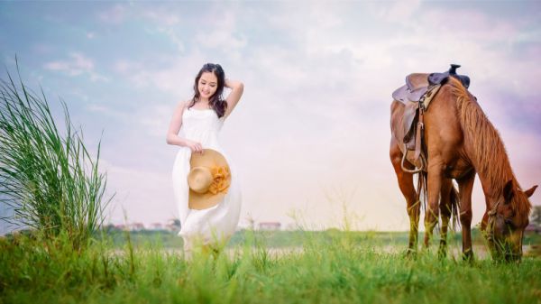 穿越古代当赘婿小说全本完结版免费阅读