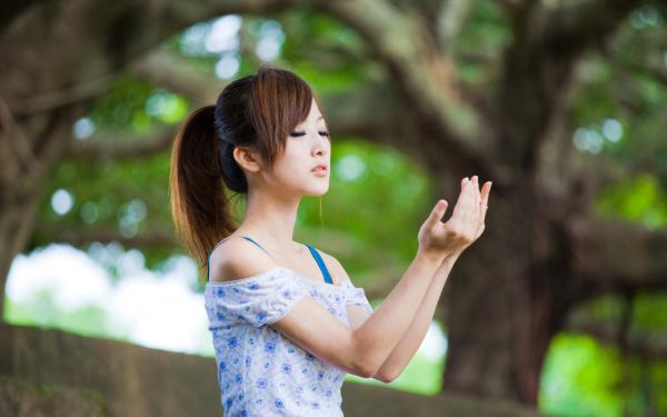 离婚后前妻太飒了笙歌封御年完结版全章节阅读