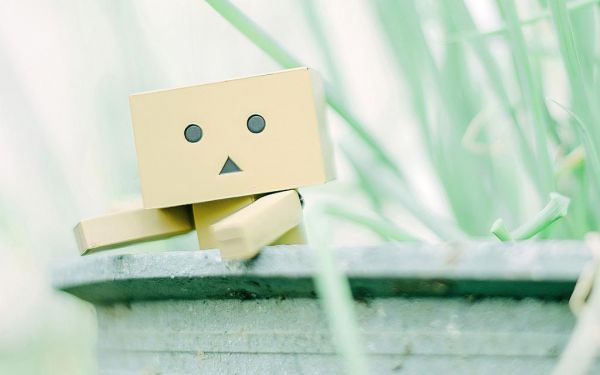 泪与灯花落「免费小说」温宛儿,墨轩言大结局阅读