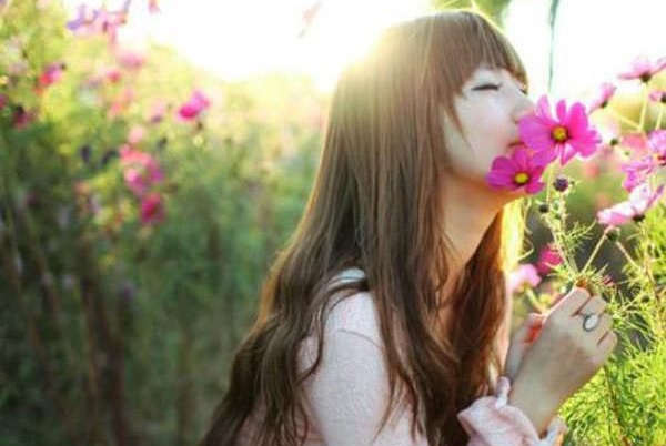 全本终是庄周梦了蝶评价五颗星（南语沈聿珩乔清意）最新章节列表_全本终是庄周梦了蝶评价五颗星全文阅读