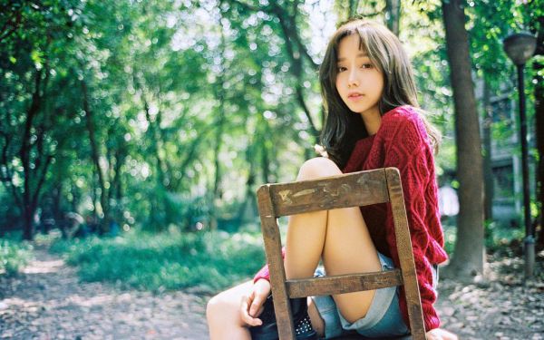 杨婉程莉莉是什么书 杨婉程莉莉免费章节在线阅读