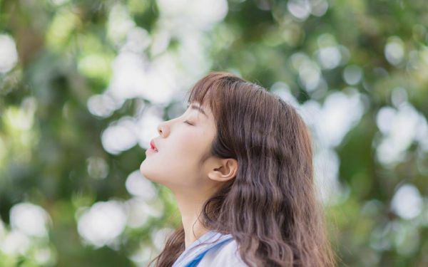 重生之情满四合院重开的未来小说免费阅读