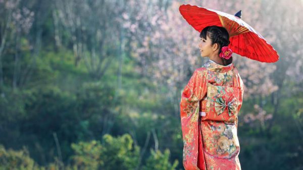 贺堇席林黎小说全文阅读 贺堇席林黎第2章