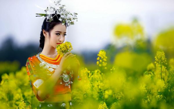主角黎笙顾知许小说免费阅读最新章节