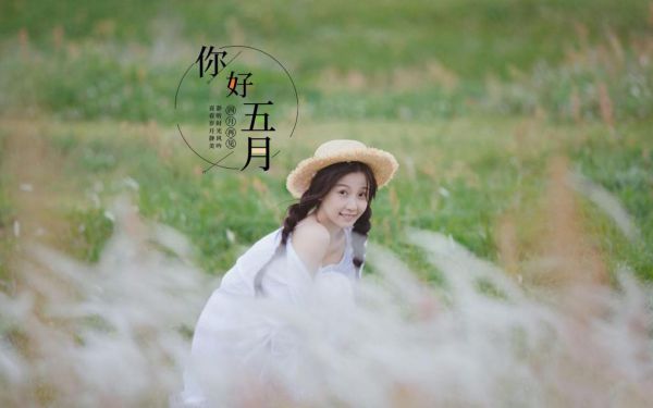 完结文我抛弃赘婿去冲喜，黑道大佬却发疯了言情作品最新章节列表_完结文我抛弃赘婿去冲喜，黑道大佬却发疯了言情作品全文免费阅读（许棠傅明礼）