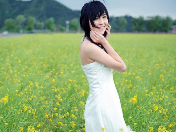 沈月初沈星晚小说名字 沈月初沈星晚全文免费阅读