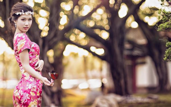 姜若宁顾凛砚最新章节免费 姜若宁顾凛砚第2章在线阅读