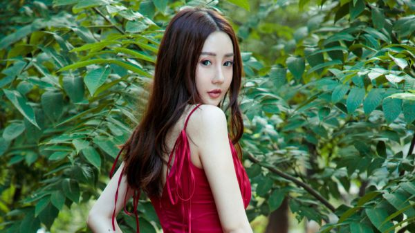 林溪宋晴全文免费阅读最新 林溪宋晴第1章