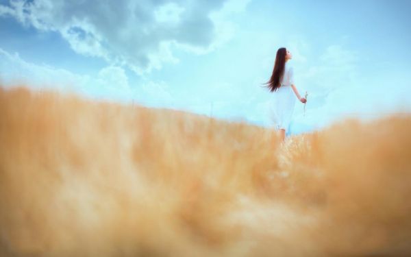 人气小说嫡女医妃有点强宋芷薛慕承免费试读
