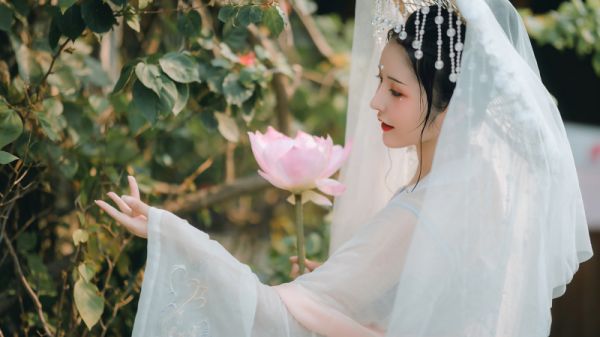主角名是叶疏瑶顾承酩全文免费阅读正版