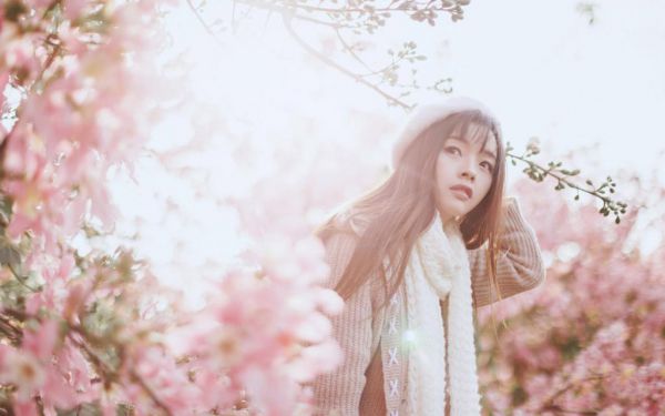 故人归尘土，新燕入画梁：+后续+结局（沈墨言南乔）最新章节_ 故人归尘土，新燕入画梁：+后续+结局