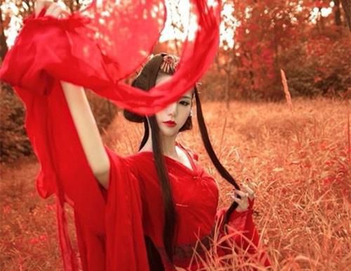 全本小说太子殿下又又又撒娇了by洛幽幽免费阅读