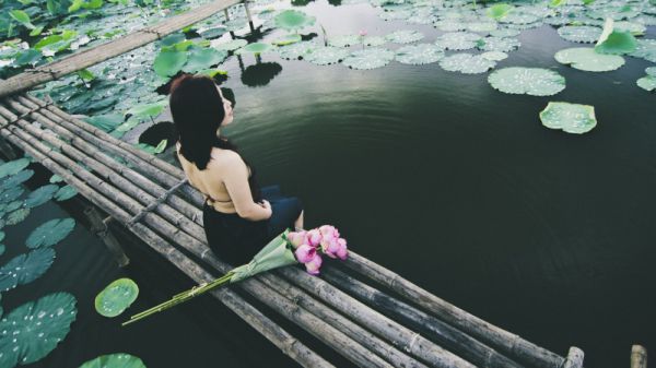 沈旭白温然小说免费试读 沈旭白温然