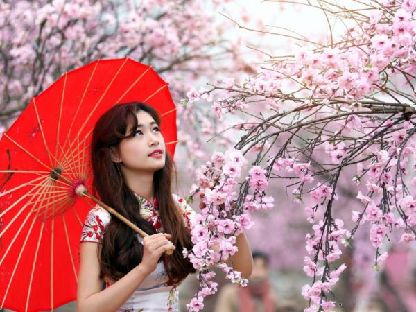 《逆袭人生韩三千》完结小说(全文在线阅读)