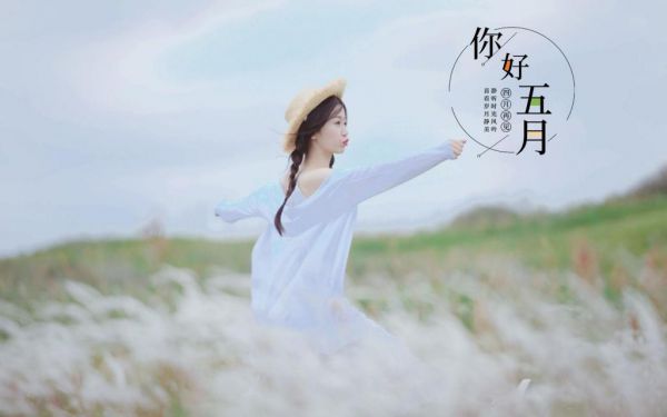 飞雪漫迷雾：结局+番外：全文+后续+结局（温晚晴沈墨川）最新章节列表_飞雪漫迷雾：结局+番外（温晚晴沈墨川）飞雪漫迷雾：结局+番外：全文+后续+结局在线阅读
