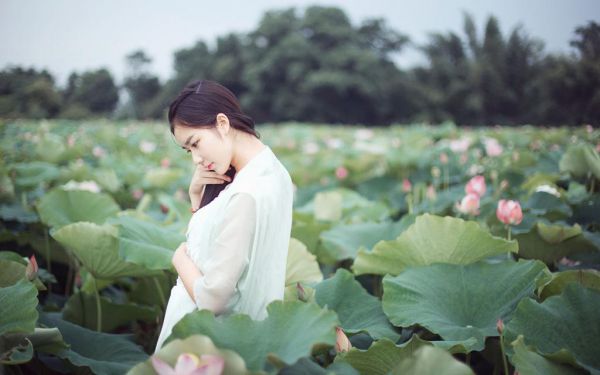 明月独照成双：结局+番外（顾明玉齐远修）最新章节列表_明月独照成双：结局+番外（顾明玉齐远修）明月独照成双：结局+番外在线阅读
