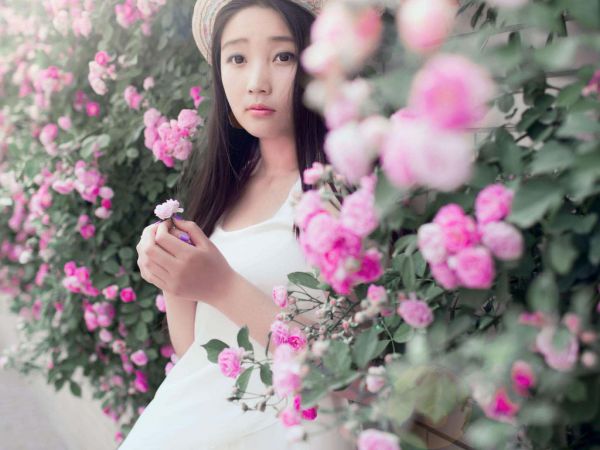 (番外)+(全文)重生高考填报志愿时，我放任全班上大专：+后续+结局小说免费下载阅读_(颜禾晚宋津年叶淼淼)重生高考填报志愿时，我放任全班上大专：+后续+结局最新章节列表_笔趣阁（颜禾晚宋津年叶淼淼）
