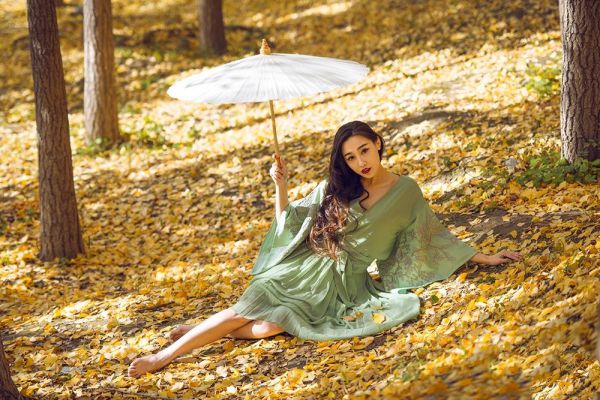 神医龙婿小说全文大白的白免费阅读