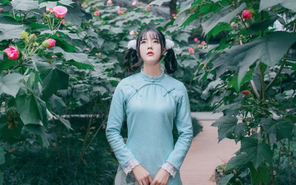 (抖音小说)宋禧京濯小说全文阅读免费