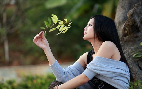 战神王爷的神医王妃全文小说免费_叶天心墨北冥精彩阅读