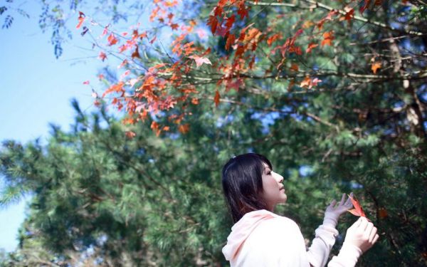 灯下闲读写的小说赘婿的巅峰人生阅读