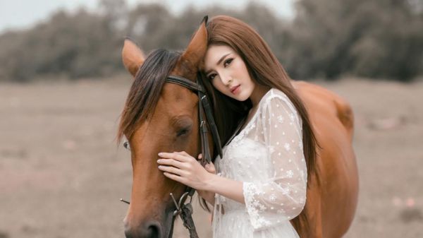 穿书后成了大佬们的掌中娇「精彩小说」花未央,帝君全集阅读