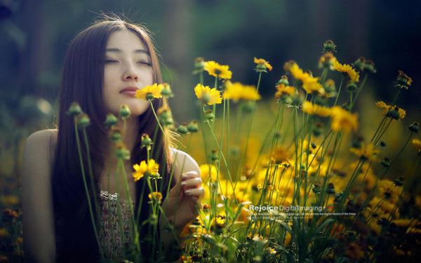 分手后宁小姐换情头，纪总破防了（宁绯顾清风）全文免费_（宁绯顾清风）分手后宁小姐换情头，纪总破防了后续阅读（宁绯顾清风）