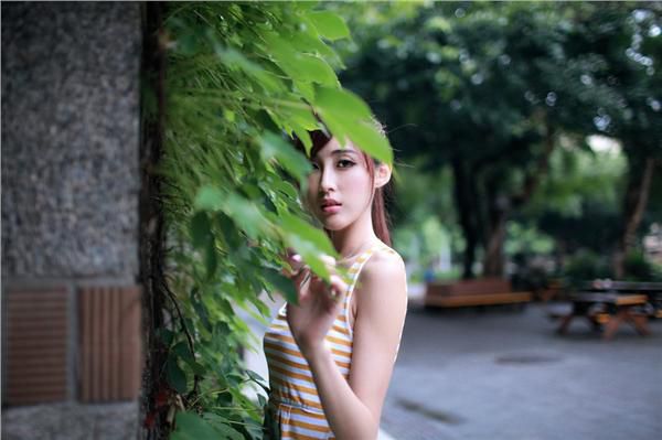雨缝旧年初相见（顾之舟楚迦）最新章节_雨缝旧年初相见全文阅读