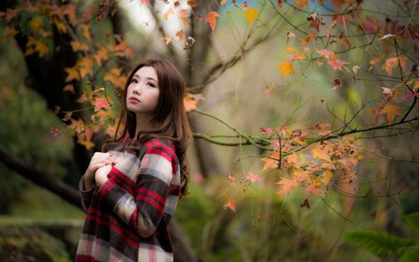穿书八零带着咸鱼系统养糙汉蒋南乔,景湛小说完本在线