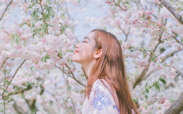 你惹她干啥她疯起来嘎嘎乱杀：+结局+番外（楚瑶）最新章节列表_你惹她干啥她疯起来嘎嘎乱杀：+结局+番外全文阅读