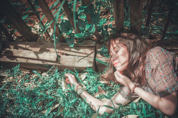 爱在遗忘时：结局+番外（曲枝雨陆凛舟）最新章节列表_爱在遗忘时：结局+番外全文阅读