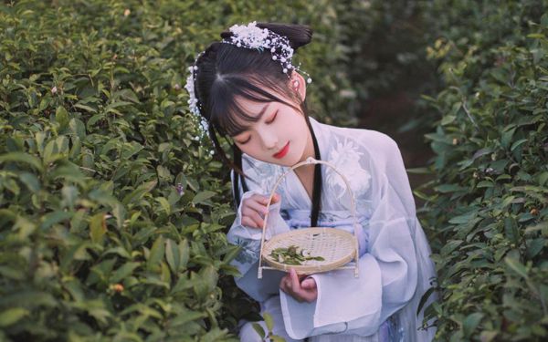 楚怀音顾辰颐小说章节免费阅读 楚怀音顾辰颐无弹窗