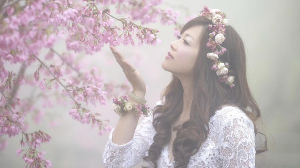 折寒枝簪起霜思沈棠眠宋闻璟小说 折寒枝簪起霜思沈棠眠宋闻璟免费阅读