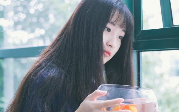 重生八零，我成全教授妻子和初恋在线阅读 顾清宋民哲小说