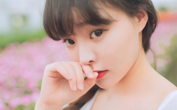 大家都说，他爱惨了我阮南枝全文阅读 乐恩章节阅读